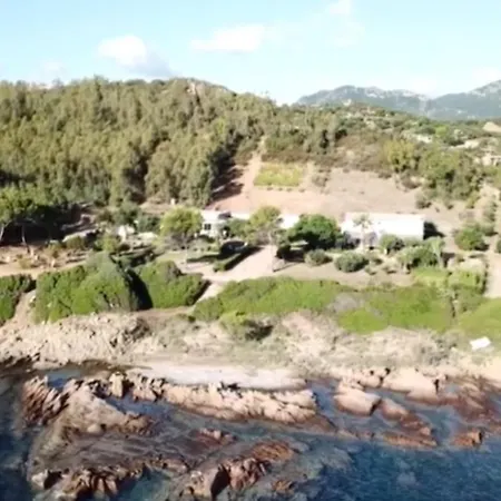 Il Bacio Del Sole Тертения