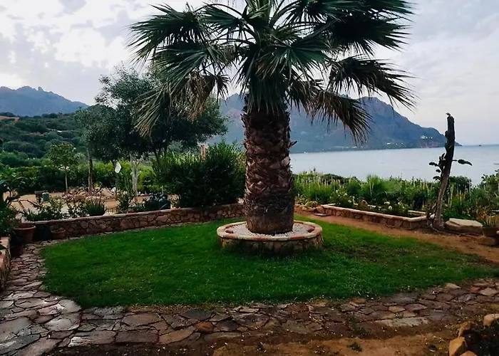 Il Bacio Del Sole * Tertenìa