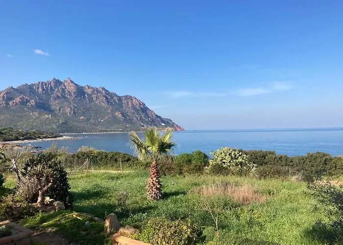 Il Bacio Del Sole * Tertenìa